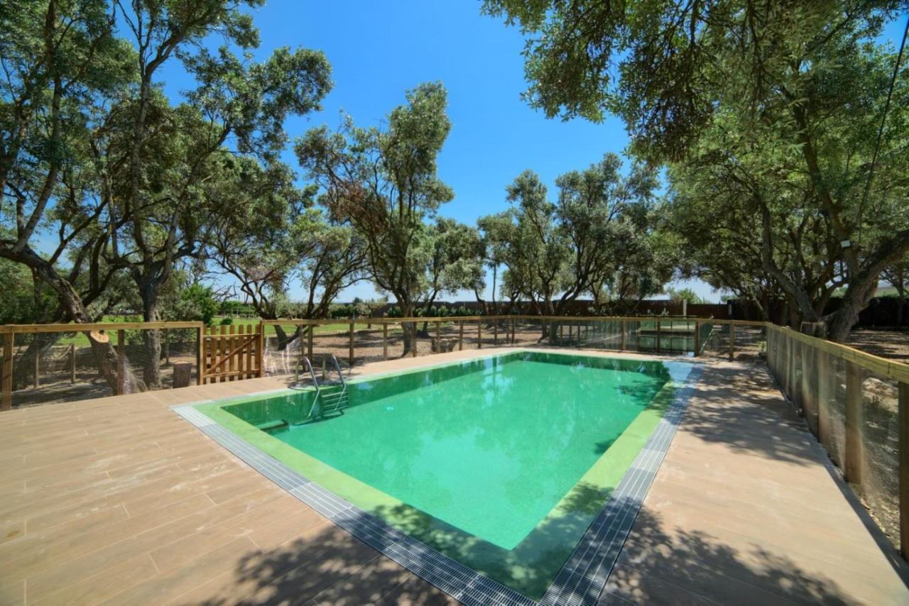 トゥデラ Finca Olivar De La Bardenaゲストハウス エクステリア 写真
